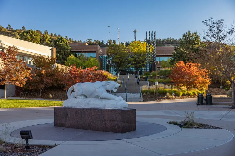 Mountain Lion statue at UCCS.