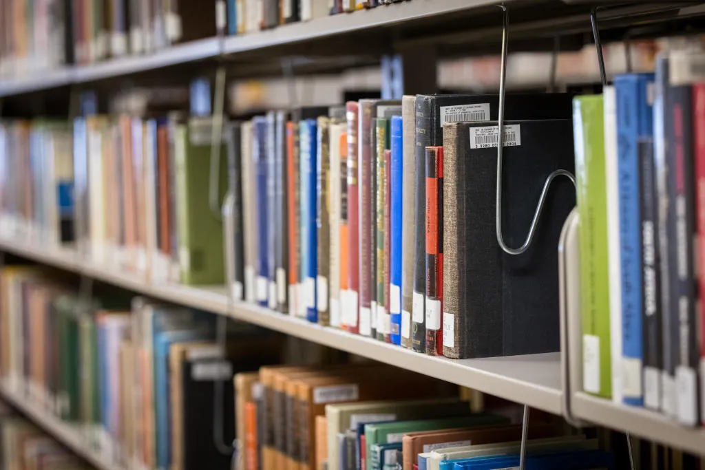 Library books on shelf.