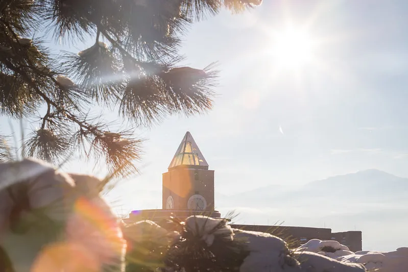 Sunlight on campus